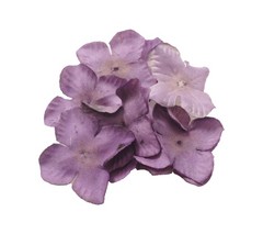  10 Pétalos de hortensia