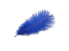 Pluma avestruz 30 cm aprox.