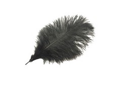 Pluma avestruz 30 cm aprox.