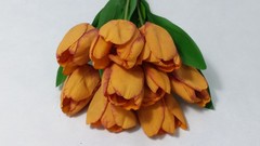 Rama 9 tulipanes 