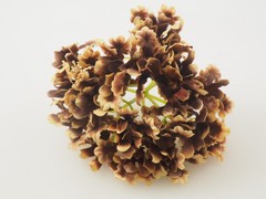 Pomo hortensia petalo mini 12 cm aprox.