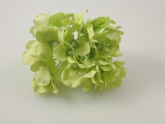 Hortensia grande