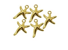 Estrellas de mar pequeñas